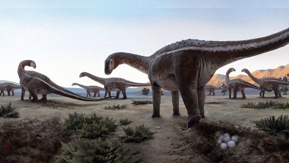 Hallan los primeros nidos de titanosaurio en Brasil