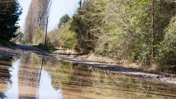 Sólo agua. La calle rural secundaria por la que ingresan los vecinos parece un río y ya no entran los camiones que llevan garrafas o agua potable.