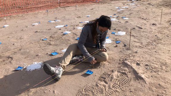 La UNCo realizará una exposición de huevos de dinosaurios 