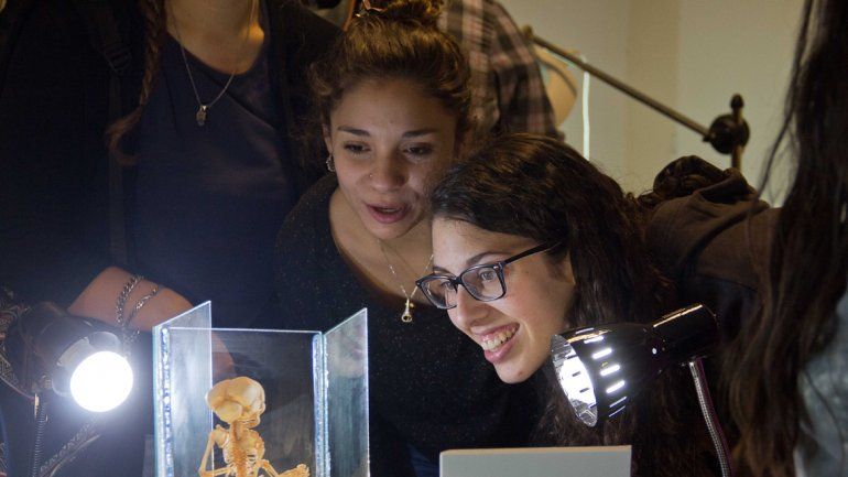 La muestra se realizó en la sede de la Facultad de Medicina de calle Toschi.