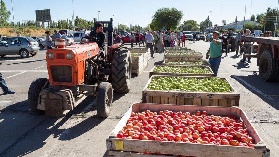 Extendieron por un año más la emergencia frutícola 