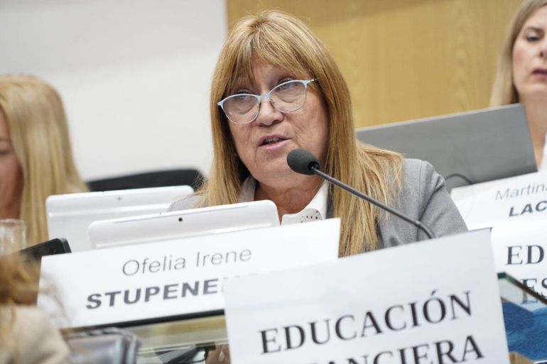 La legisladora de Pro Unión Republicana, Ofelia Stupenengo, informó sobre el proyecto en el recinto.