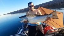 una captura record en mari menuco: un pescador saco una trucha marron de mas de 9 kilos