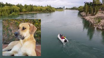 vecinos solidarios redoblan esfuerzos para rescatar a milo vecinos solidarios redoblan esfuerzos para rescatar a milo