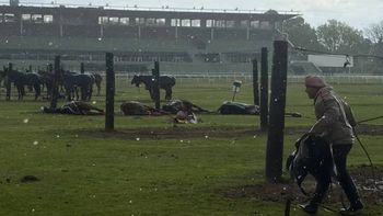Cayó un rayo en el Jockey Club de San Isidro, mató a cuatro yeguas y dejó a un cuidador herido