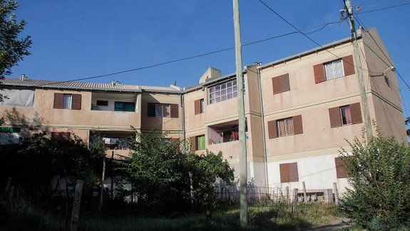 Todo sigue igual en la colonia de murciélagos del Bogotá