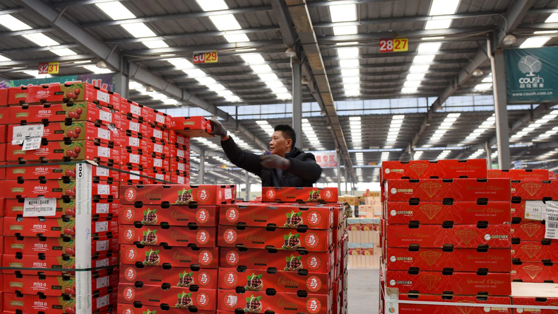 Llegaron las primeras cargas de cerezas chilenas al mercado de Chile.