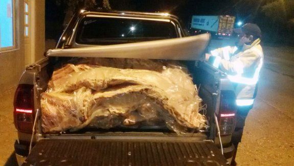 Decomisaron 700 kilos de carne con hueso valuada en 160 mil pesos