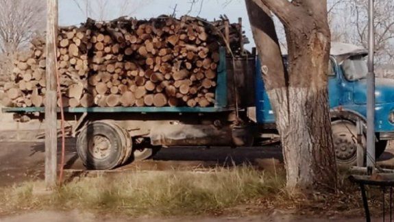 Decomisaron 5000 kilos de leña y armas de fuego.&nbsp;