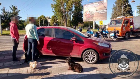 Se escondió en el baúl para cruzar el puente