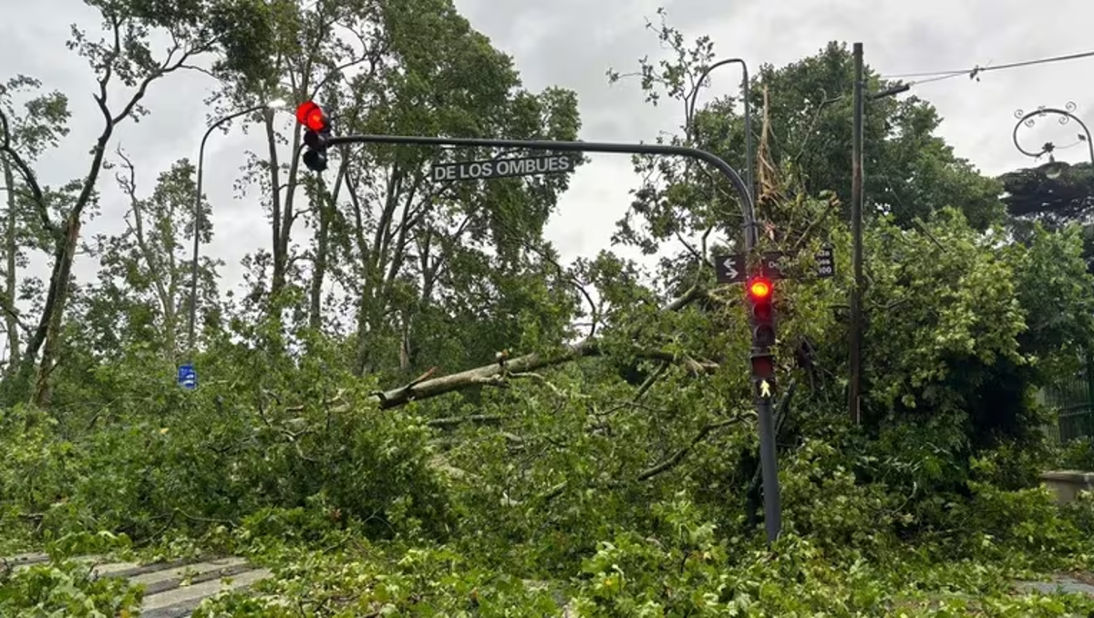 El temporal también azotó a Buenos Aires: en Ezeiza movía a los aviones