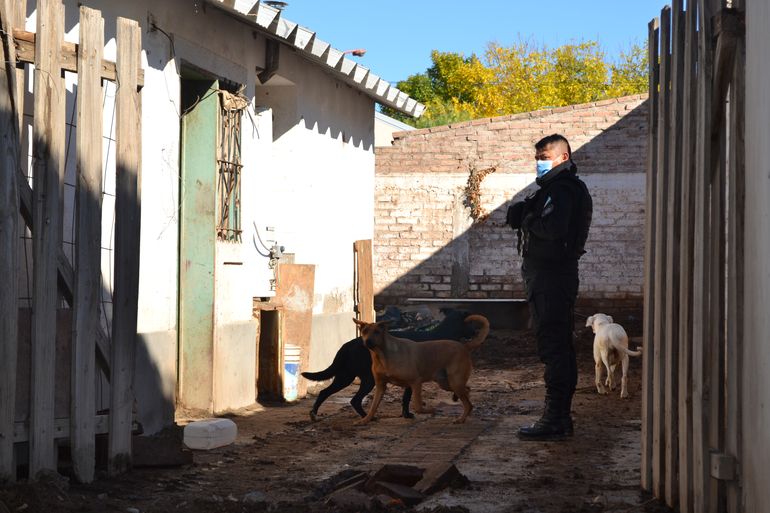 Más de 30 perros fueron rescatados por maltrato animal en una vivienda del barrio CGT de Cipolletti.