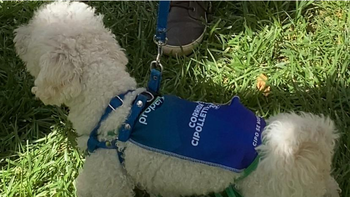 Los cupos para la corrida pet friendly se agotaron en pocas horas.