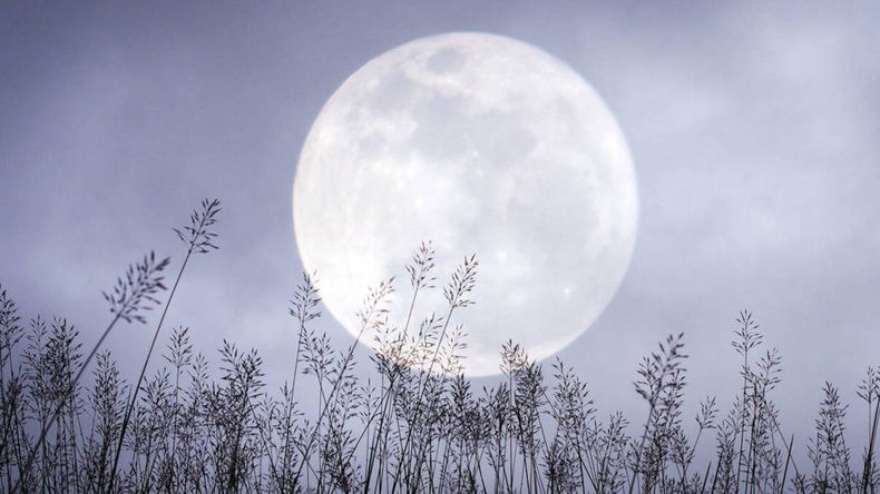 La Luna de Nieve se conoce también como Luna Brillante por su intensidad lumínica.