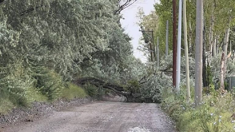 La tormenta afectó el tendido de Edersa en Cipolletti.