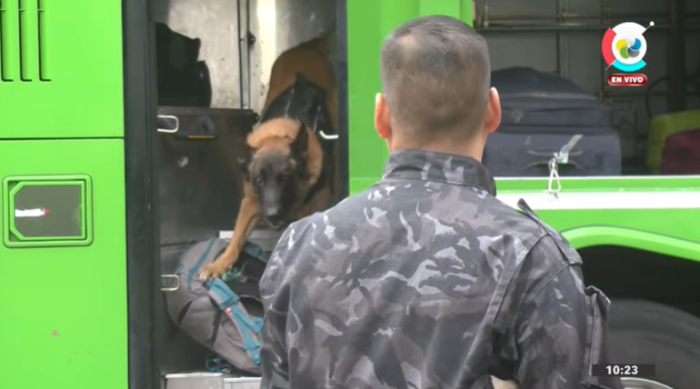Máximo, el perro de la división canes que identificó la droga oculta en el equipaje. (Foto: gentileza Canal 10).