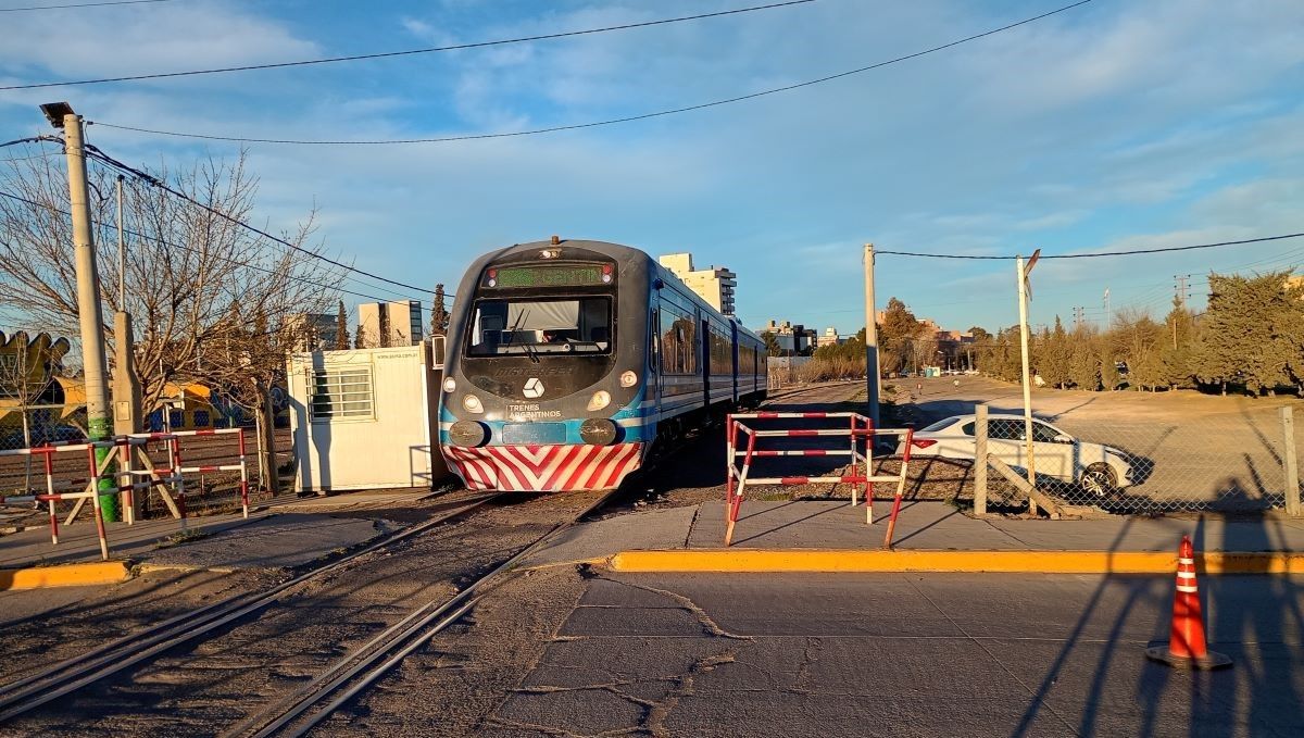Tren del Valle: cuáles son los servicios suspendidos y por qué