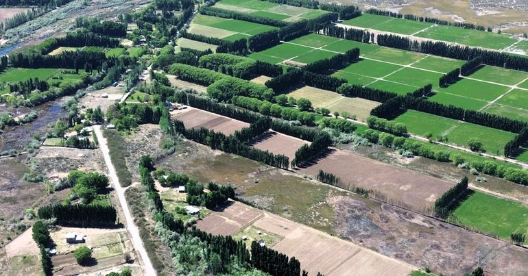 El sistema de riego propuesto busca garantizar el acceso equitativo al recurso hídrico, optimizar su uso en función de las características del suelo y los cultivos. El sistema de riego propuesto busca garantizar el acceso equitativo al recurso hídrico, optimizar su uso en función de las características del suelo y los cultivos.