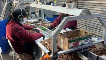 Río Negro apuesta al producción y lanza un programa extraordinario de hasta $500 millones: cómo acceder. Río Negro apuesta al producción y lanza un programa extraordinario de hasta $500 millones: cómo acceder.