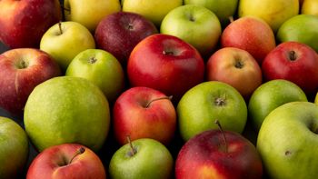Nuevas manzanas de club buscan ganar espacio en góndola frente al liderazgo de las clásicas.