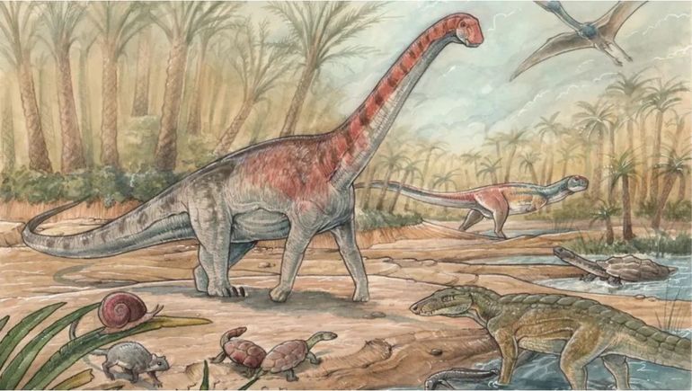 El dinosaurio con enanismo fue descubierto cerca de General Roca.