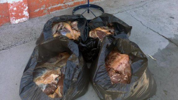 Le encontraron 50 kilos de carne de caballo y le decomisaron todo