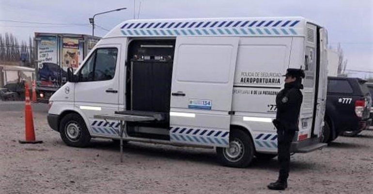 Secuestraron costillares ilegales sobre la Ruta 22