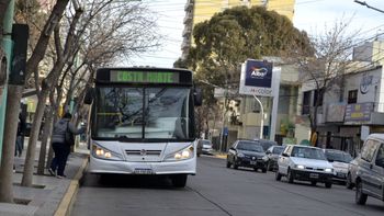 Cipolletti aún no adjudicó el nuevo servicio de Transporte Público.