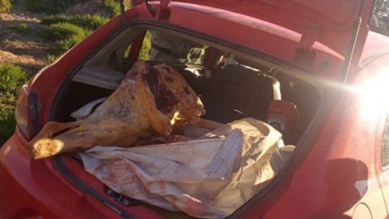 Decomisaron 210 kilos de carne faenada en un operativo sobre la Ruta 23
