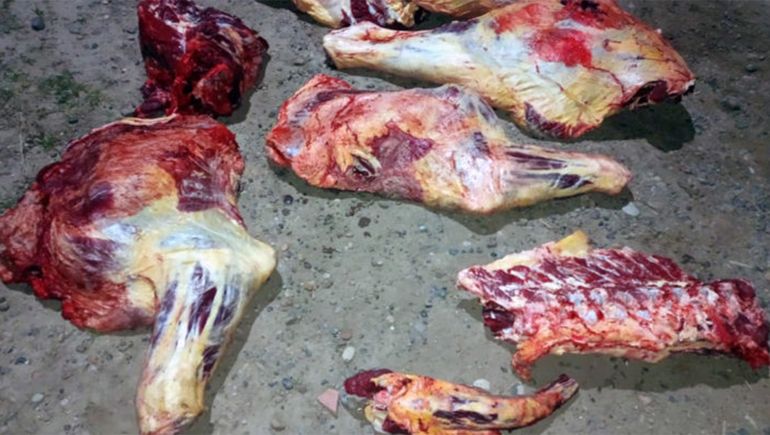 Decomisaron más de 170 kilos de carne ilegal
