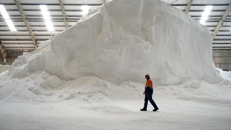 El desembolso récord permitirá producir 2,1 millones de toneladas de urea al año, agregando valor al gas de Vaca Muerta y fortaleciendo el abastecimiento de un insumo clave para el campo. | LMCipolletti.com El desembolso récord permitirá producir 2,1 millones de toneladas de urea al año, agregando valor al gas de Vaca Muerta y fortaleciendo el abastecimiento de un insumo clave para el campo.