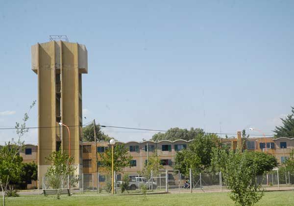 Malestar en las 300 Viviendas por los murciélagos