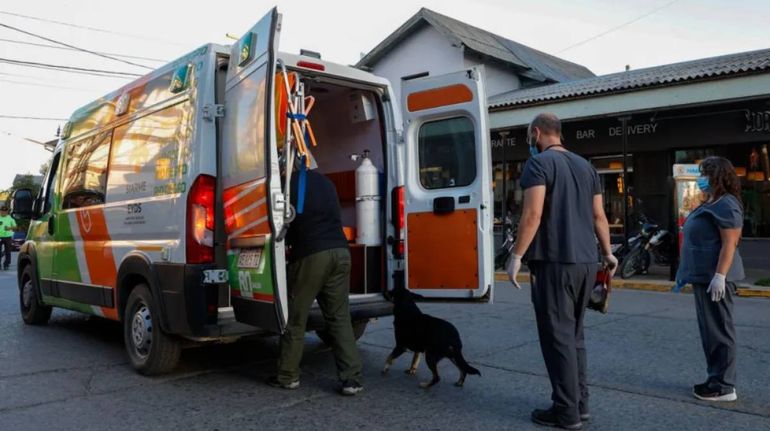 El perrito fiel se quiso subir a la ambulancia (foto Euge Neme reproducida por El Cordillerano).