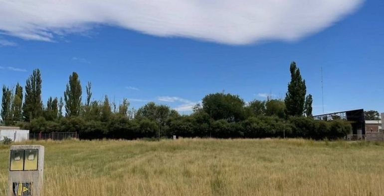 Oro subasta tierras fiscales y crece la expectativa.