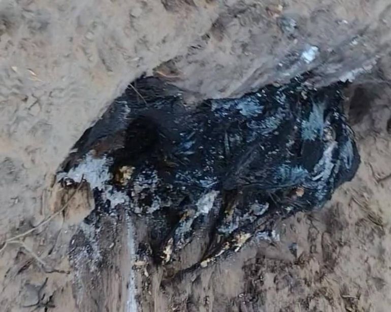 El caballo muerto y quemado en la Isla Jordán.