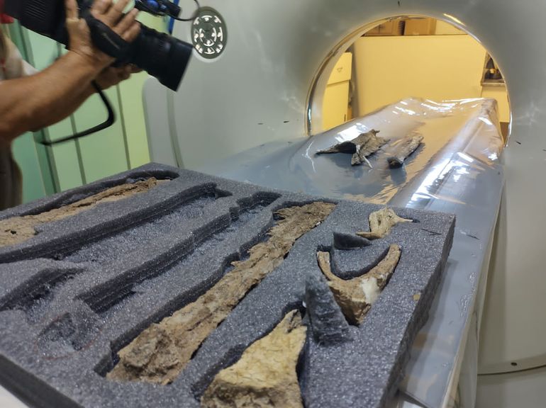 Primera tomografía de restos fósiles en Río Negro
