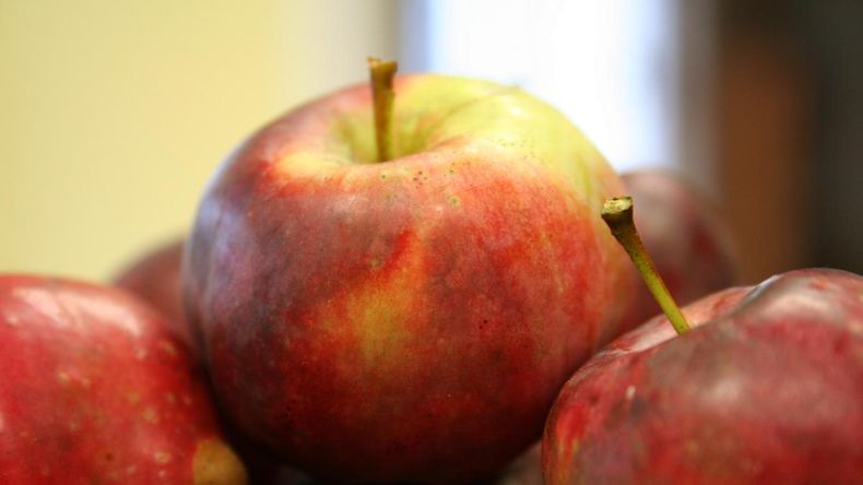 Manzana de calidad en el norte de la Patagonia, un bien realmente escaso...