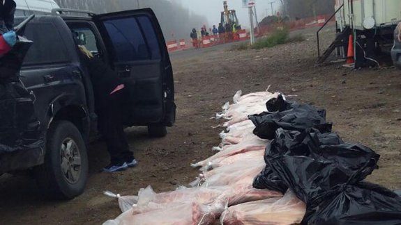 El operativo se realizó en la Ruta 22, frente al ingreso a la Isla Jordán.
