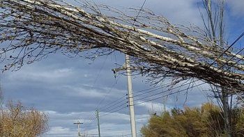 la tormenta provoco cortes de luz en cipolletti y oro
