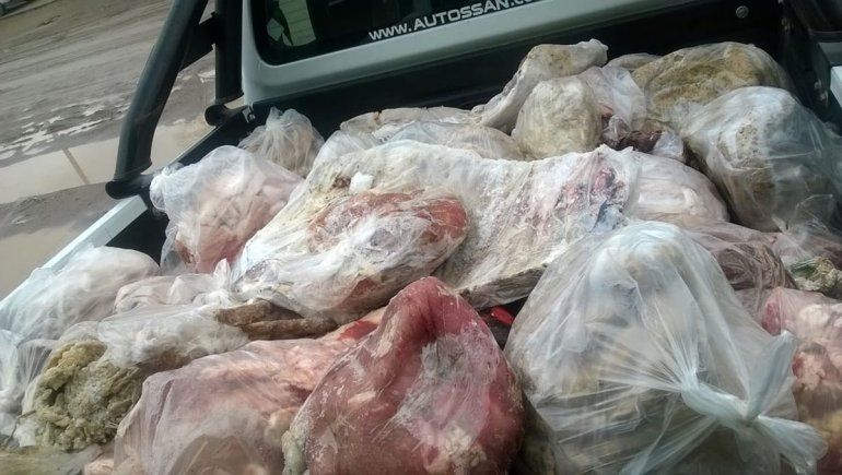 Secuestraron miles de kilos de carne en mal estado en la costa rionegrina