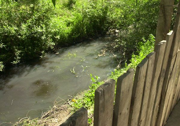 Contaminación del canal Los Milicos