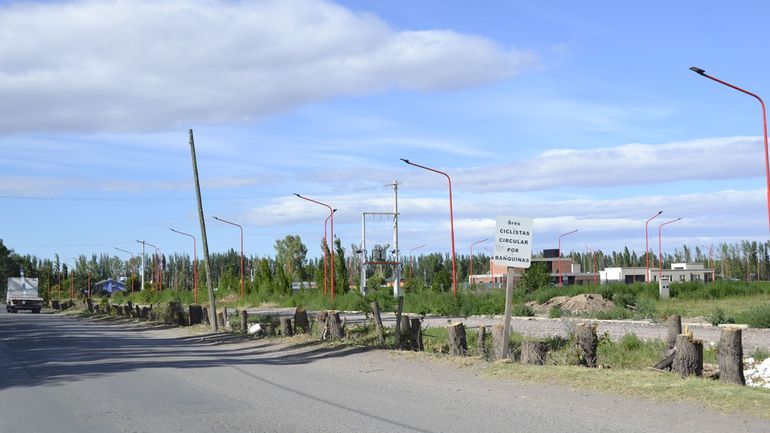 El corte de los álamos lo realizó Edersa por El corte de los álamos lo realizó Edersa por