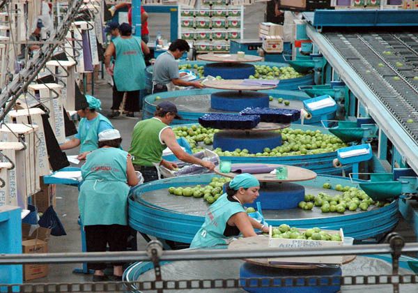 Rial le solicitó un plazo al sindicato de la Fruta