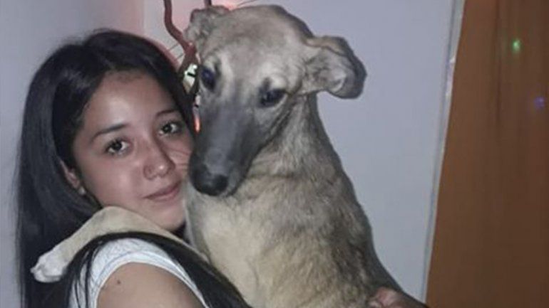 Una adolescente cipoleña busca por cielo y tierra a su perro perdido