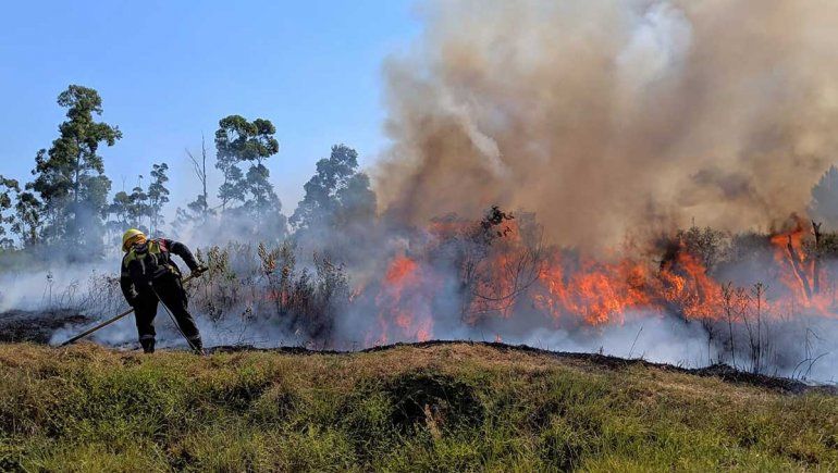 Los incendios forestales son el reflejo del avance del cambio climático. 