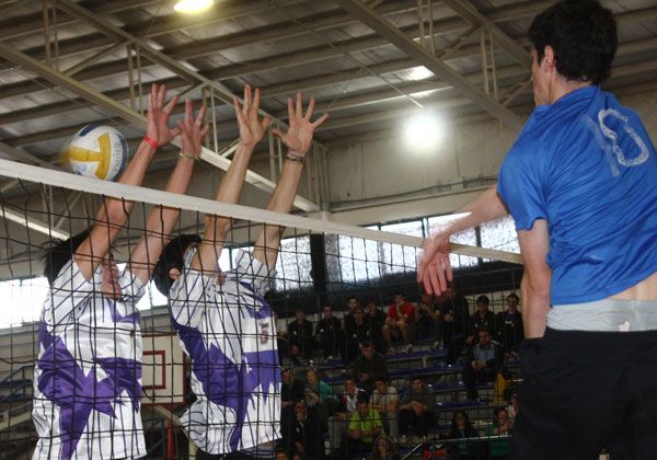 El Patagónico ingresó en su etapa de definición