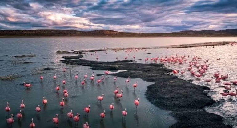 La laguna que revivió tras 12 años y recuperó su encanto natural: cómo llegar a la belleza rionegrina del milagro.
