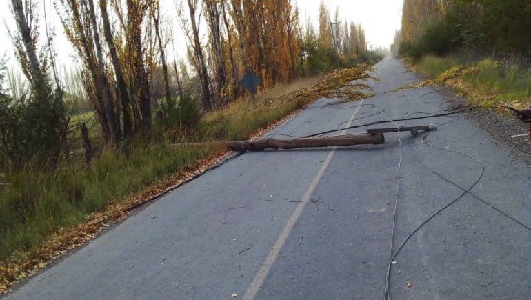 El temporal de viento provocó varios cortes de luz en Cipolletti