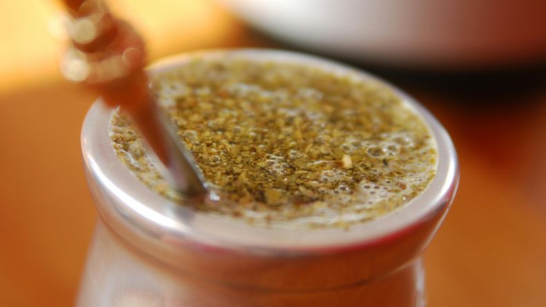 Consumo en caída, exportaciones récord: la yerba mate se reinventa para el siglo XXI