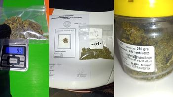 El frasco de marihuana encontrada en la camioneta interceptada en un control de tránsito. El frasco de marihuana encontrada en la camioneta interceptada en un control de tránsito.